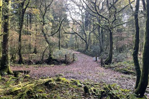 Woodland for sale, Coed Ffordd Pererin, Llanybri SA33