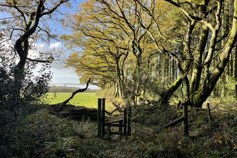 Woodland for sale, Coed Ffordd Pererin, Llanybri SA33