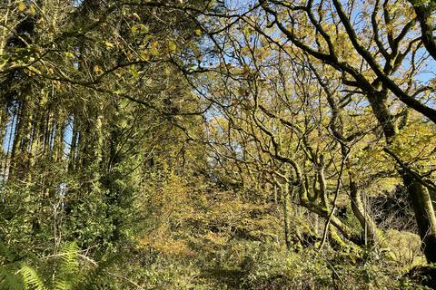 Woodland for sale, Coed Ffordd Pererin, Llanybri SA33