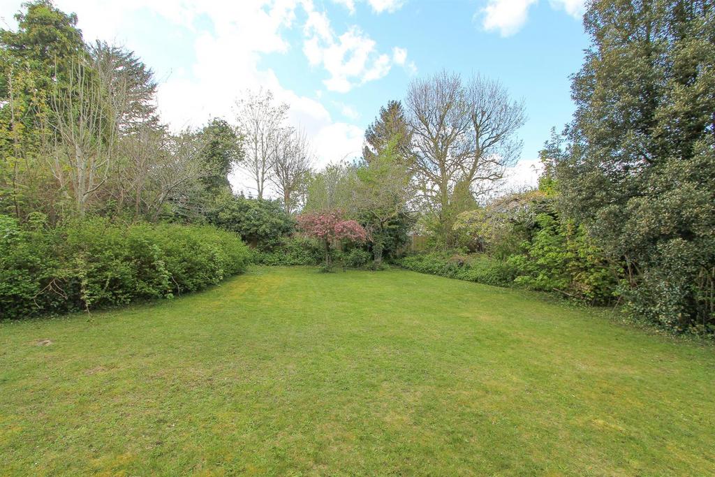 Garden c.jpg