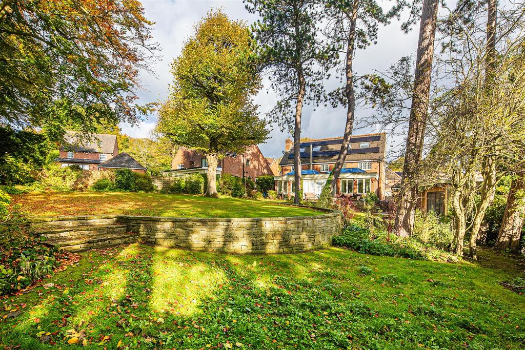 Garden and rear