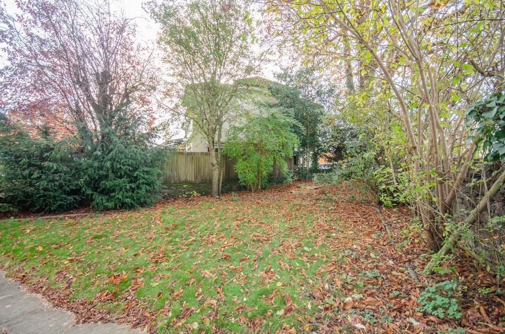 Side garden.jpg