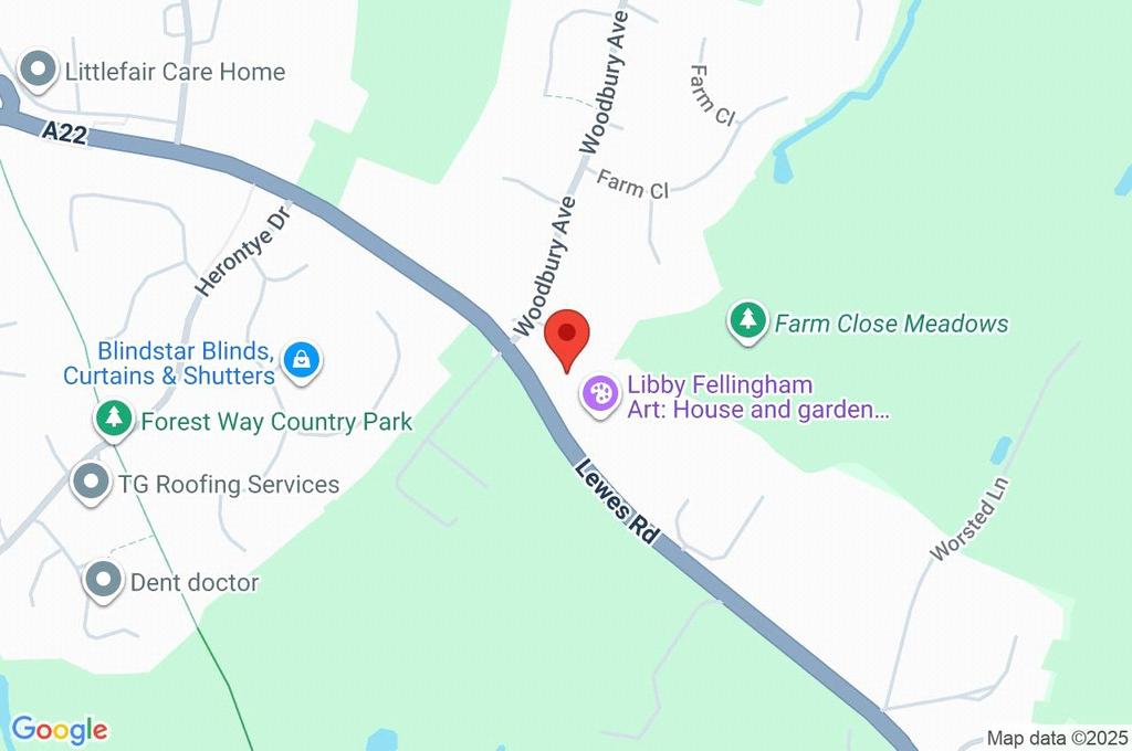 Google Maps Image