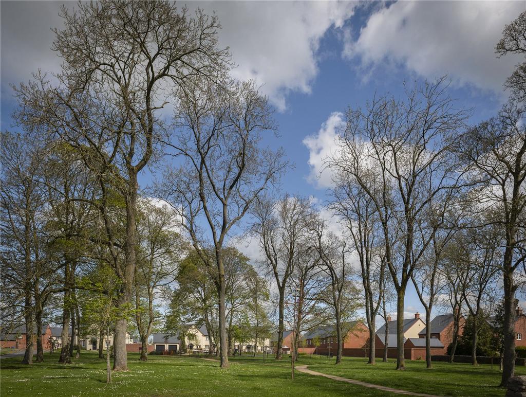 Open Green Space