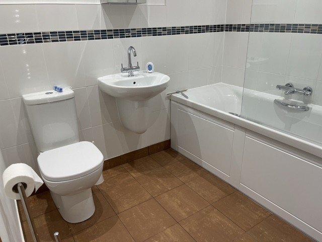 Picture 7