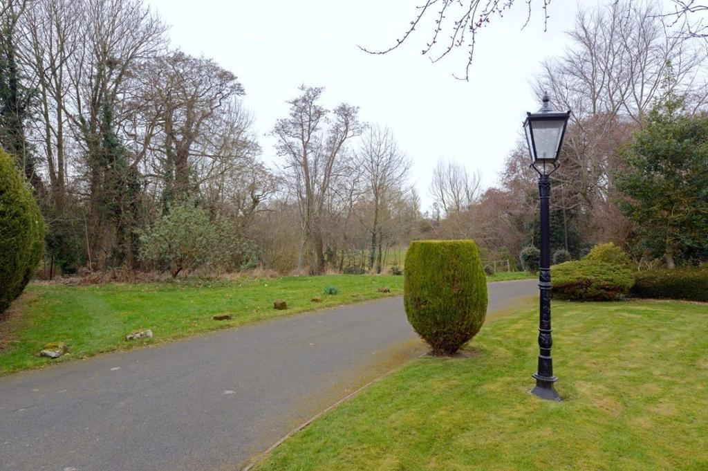 Driveway