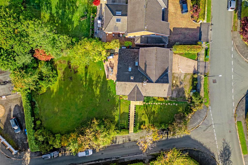 Ariel View