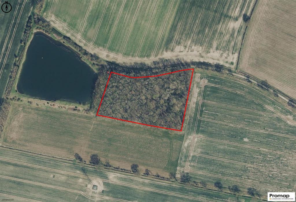 Promap-3345220-3441673.jpg