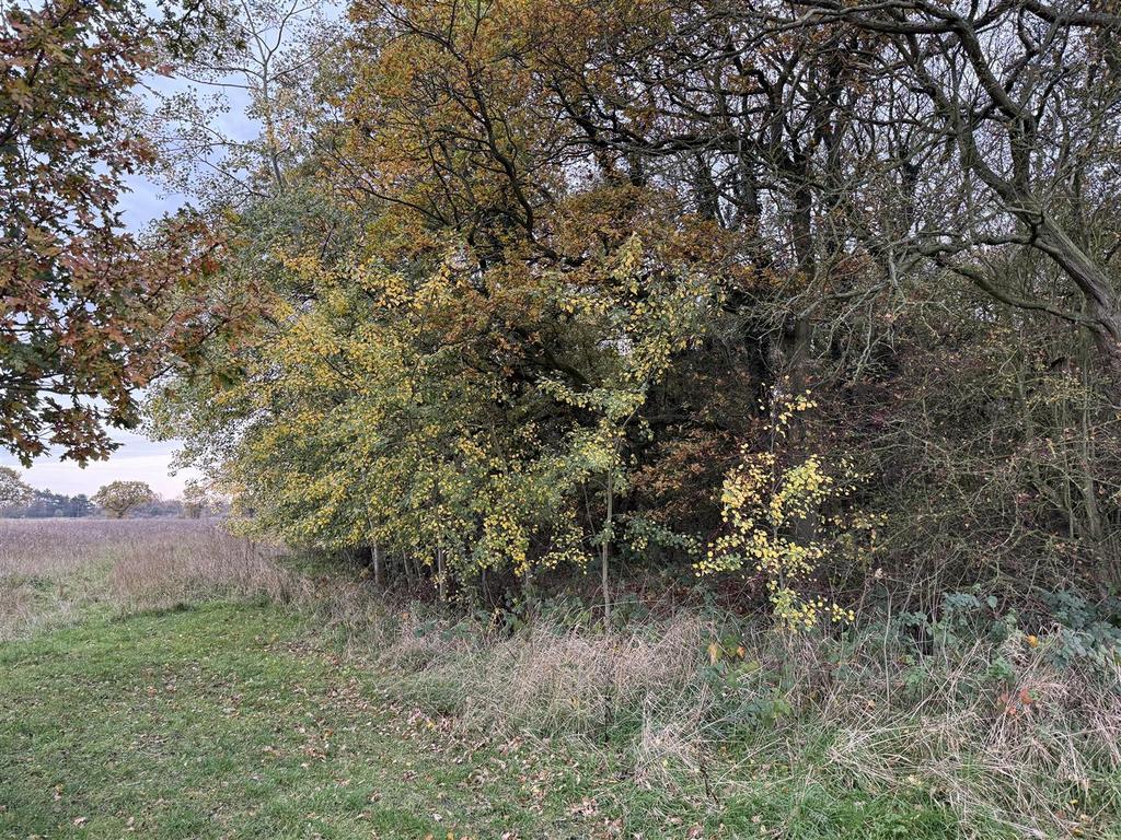 Img 4377.jpg
