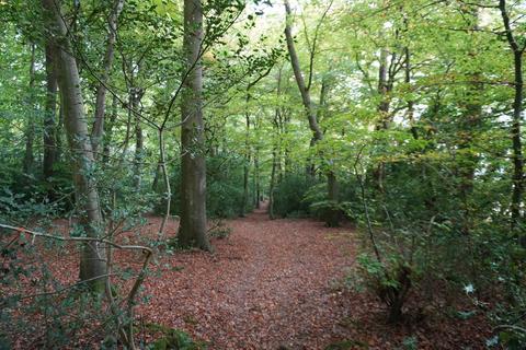 undefined, Bunker Wood, Henley-on-Thames, Oxfordshire RG9