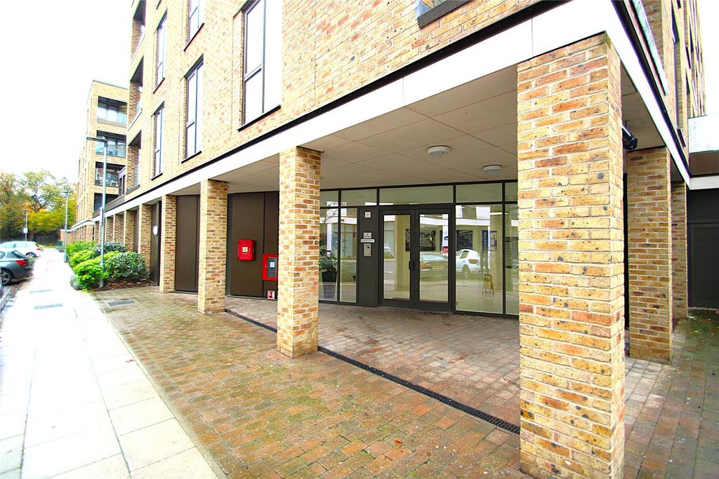 Picture 24