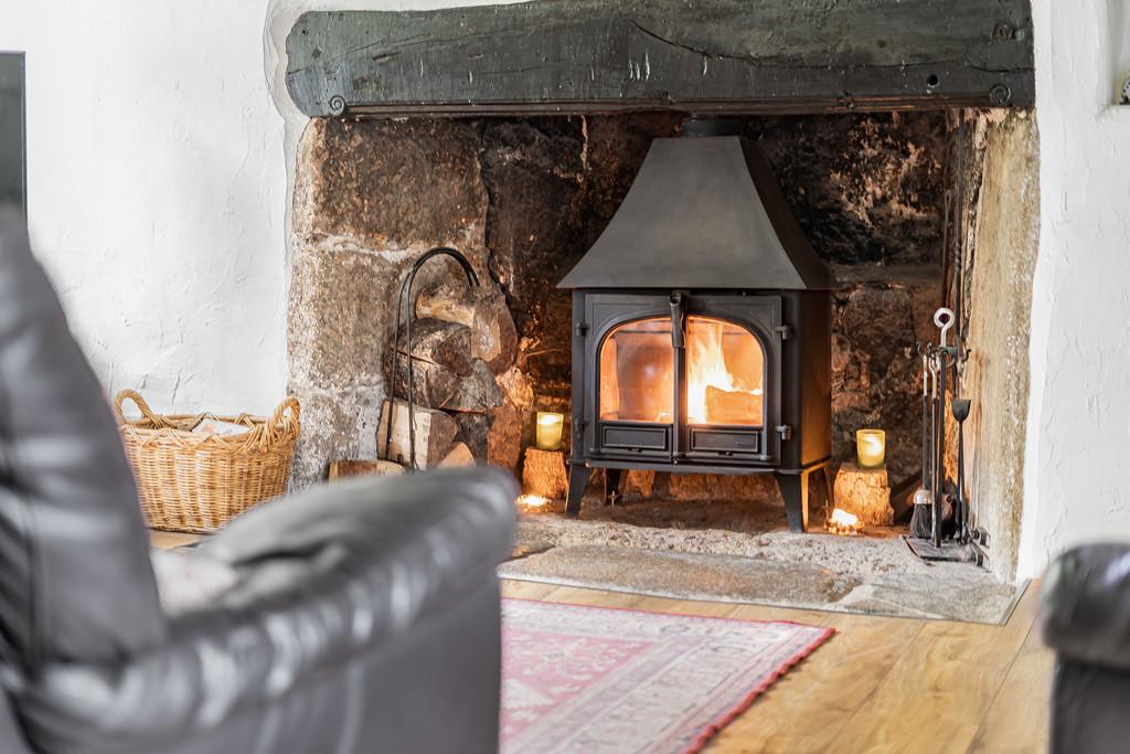 Living room fireplace