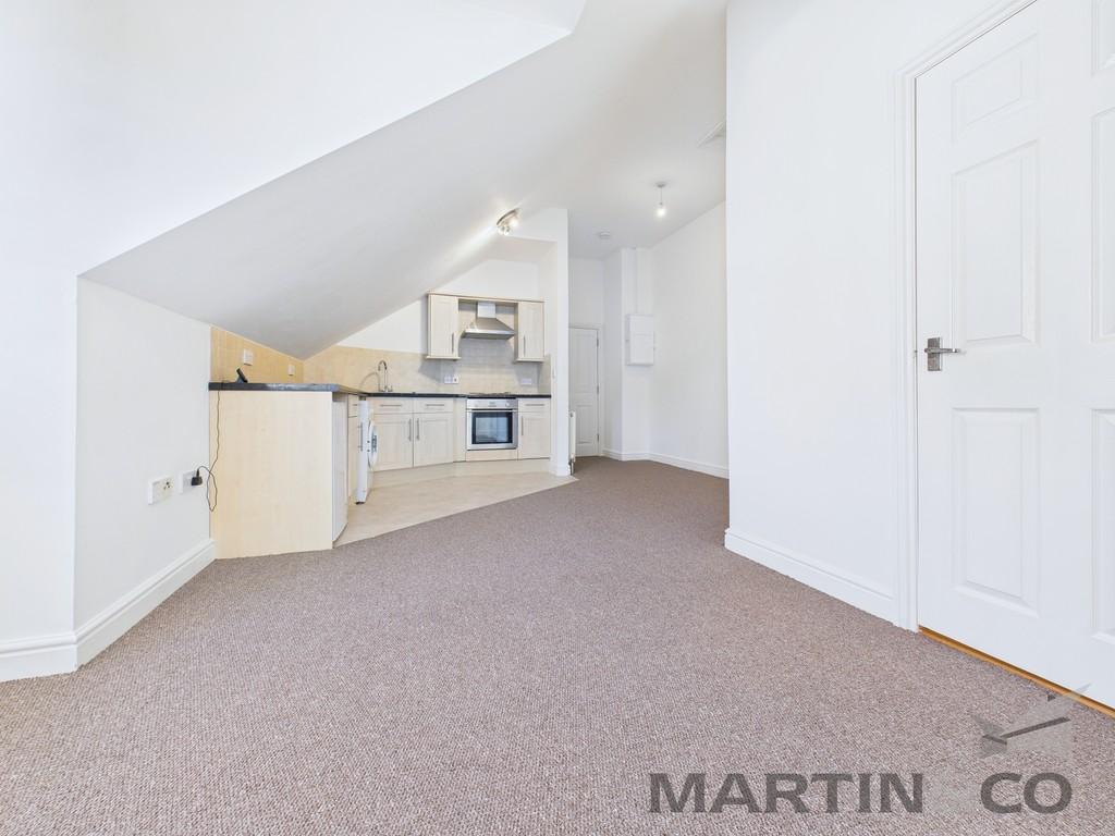 Living/Kitchen Area