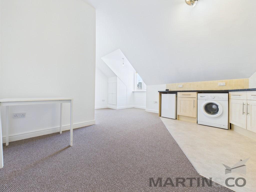 Living/Kitchen Area