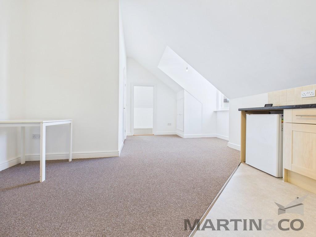 Living/Kitchen Area