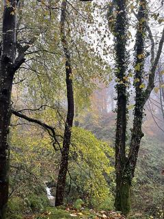 undefined, Approximately 4.3 acres of private glen at Dhoon