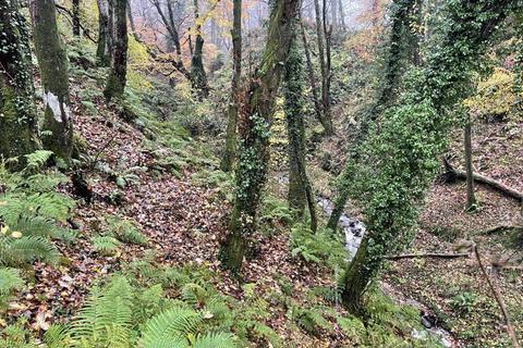 undefined, Approximately 4.3 acres of private glen at Dhoon