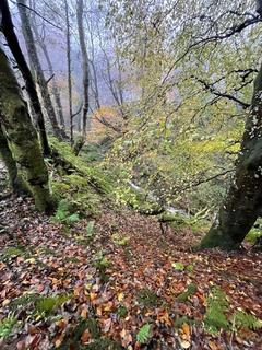 undefined, Approximately 4.3 acres of private glen at Dhoon
