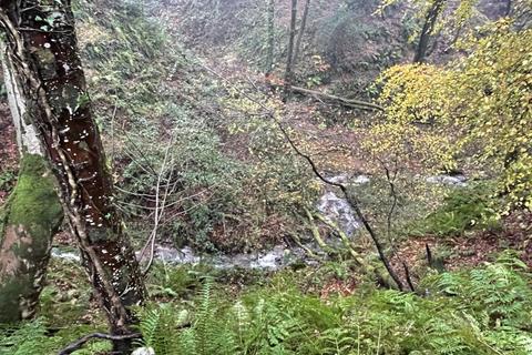 undefined, Approximately 4.3 acres of private glen at Dhoon