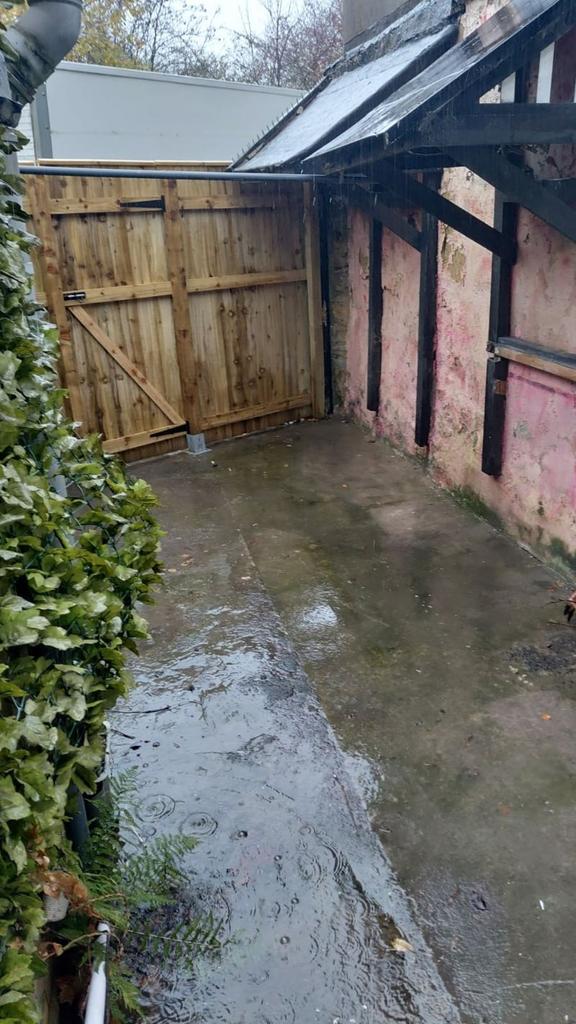 Back Garden