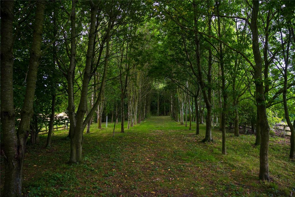 Woodland