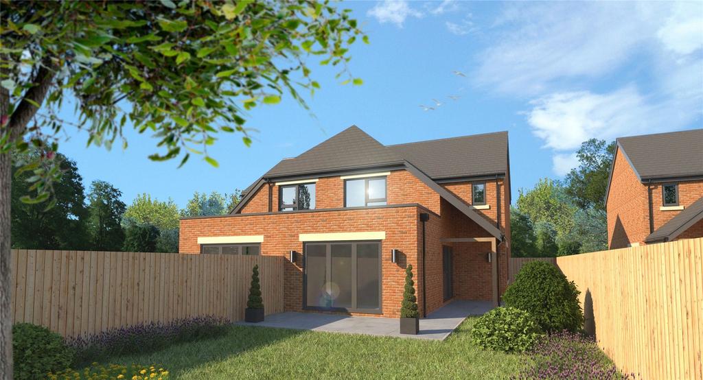 Rear Elevation