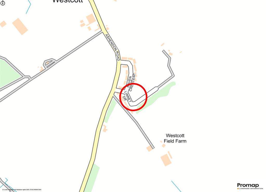Street Map