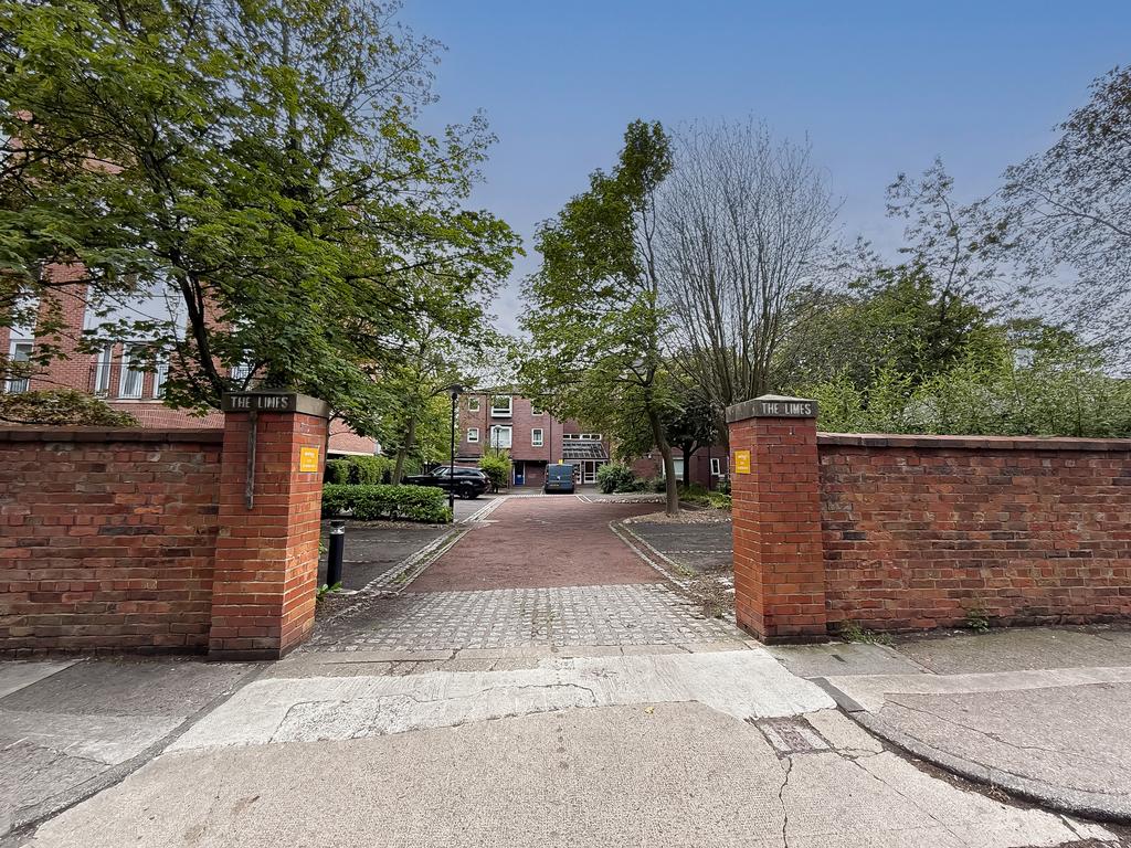 IMG 2585 T202511111920.jpg