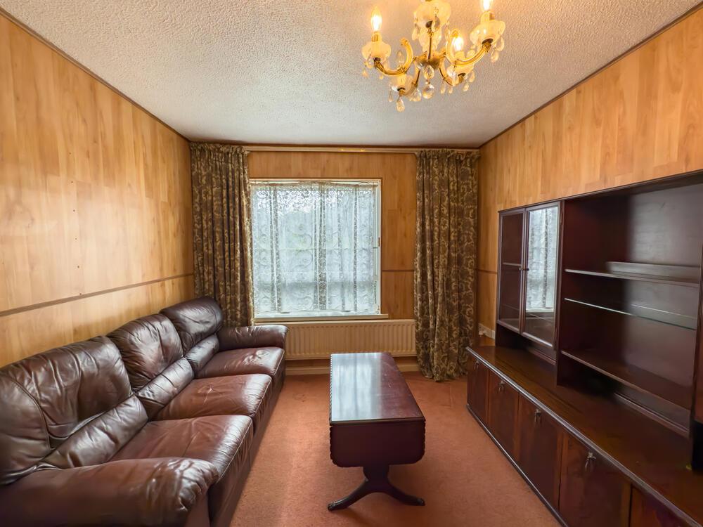 IMG 2556 T202511111920.jpg