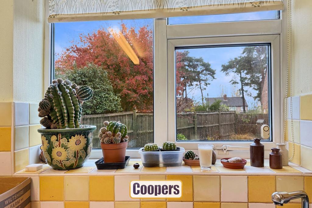 Kitchen view