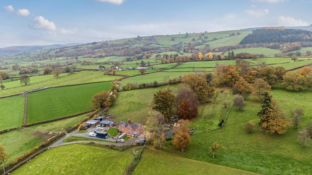 Elevated situation.jpg