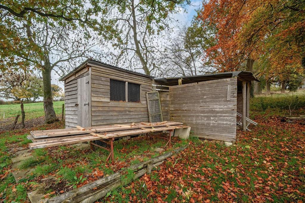 Shed.jpg