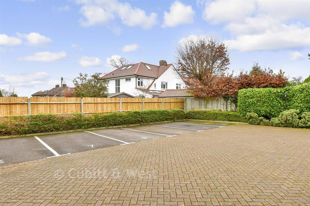 Driveway/Parking