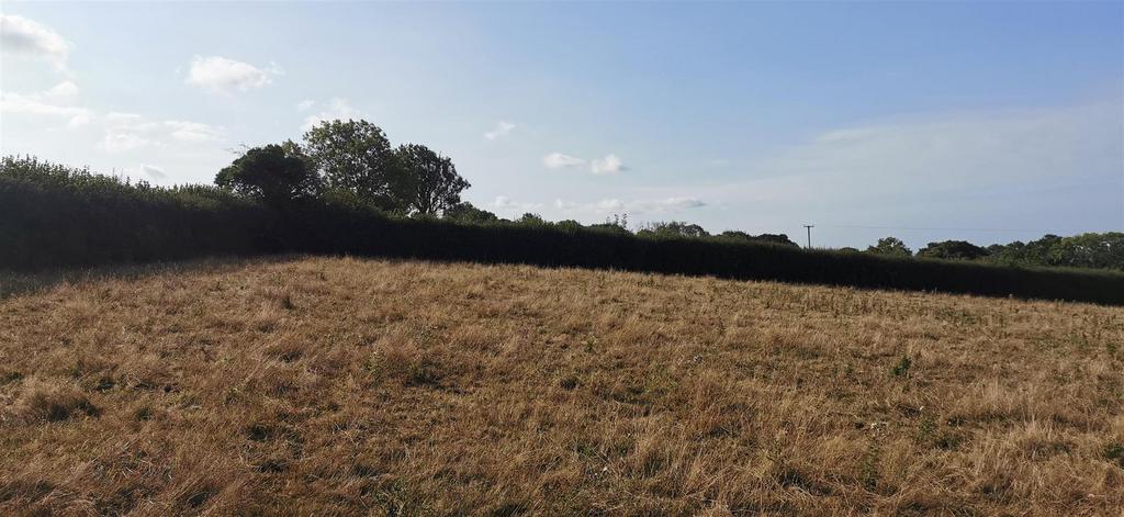 Lot 1