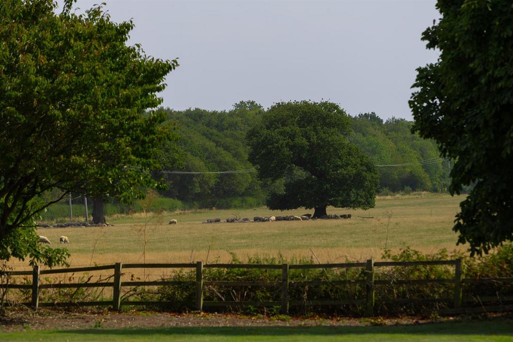 Countryside Views