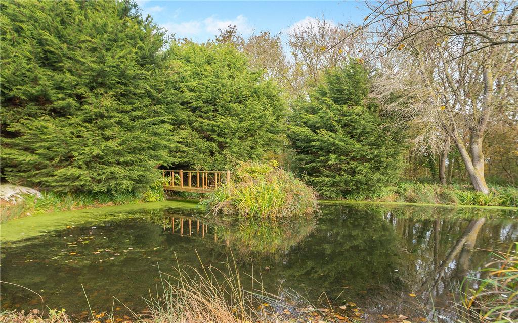 Pond