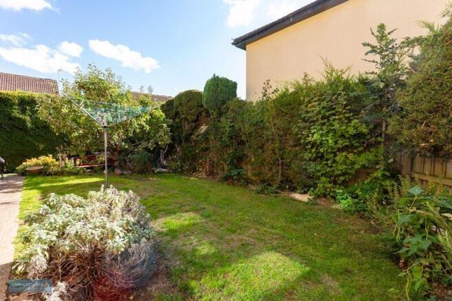 Garden 3