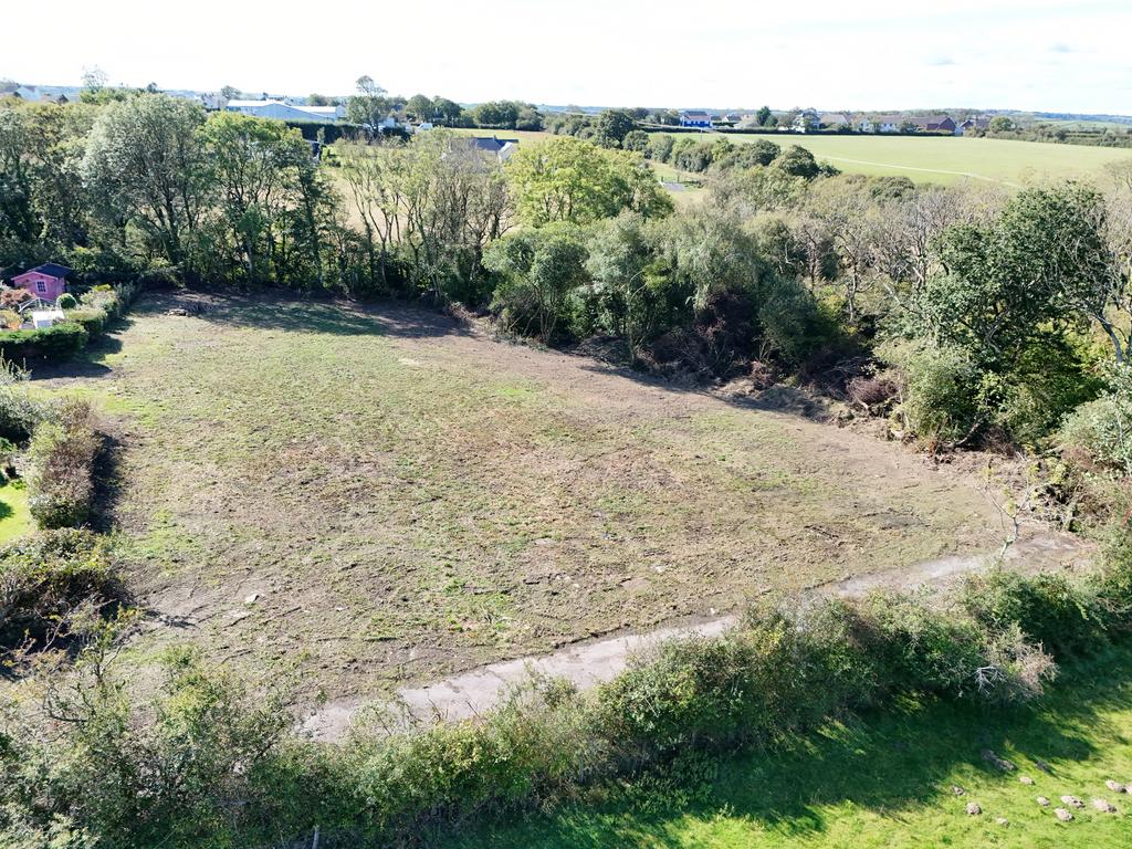The land