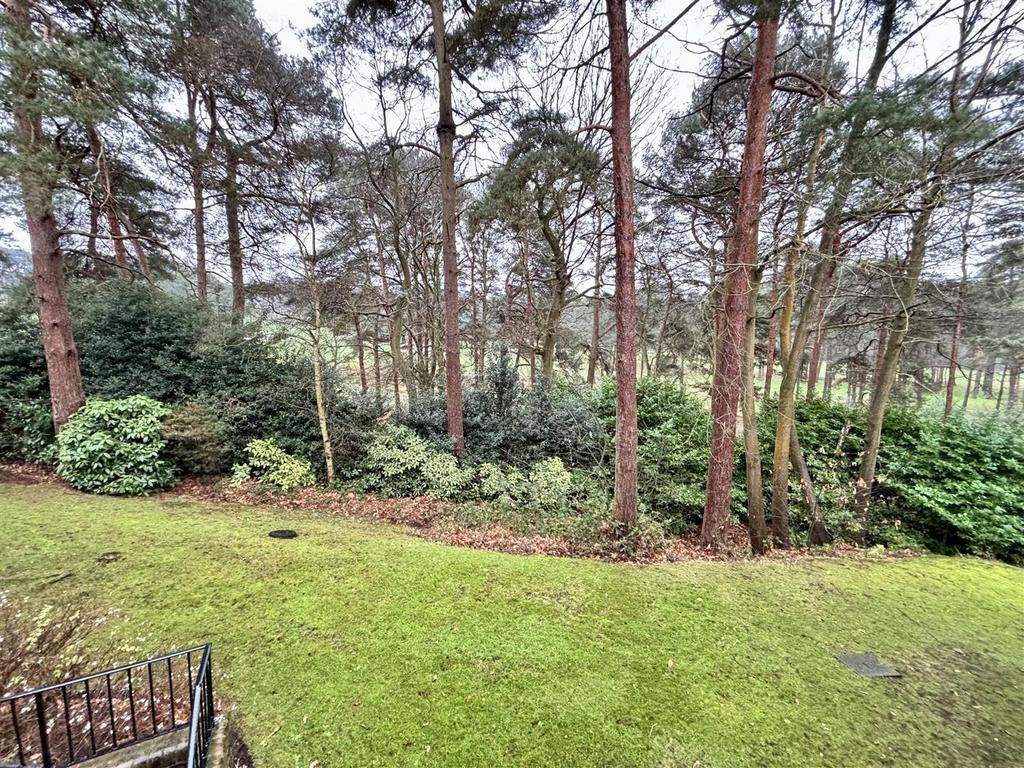 View from Bedroom