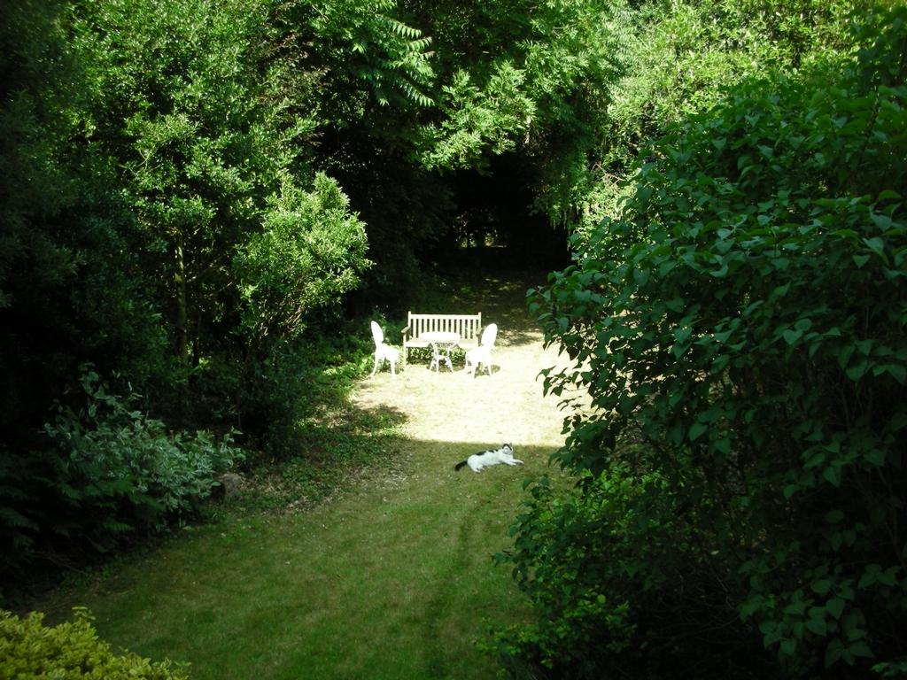 Photo 5