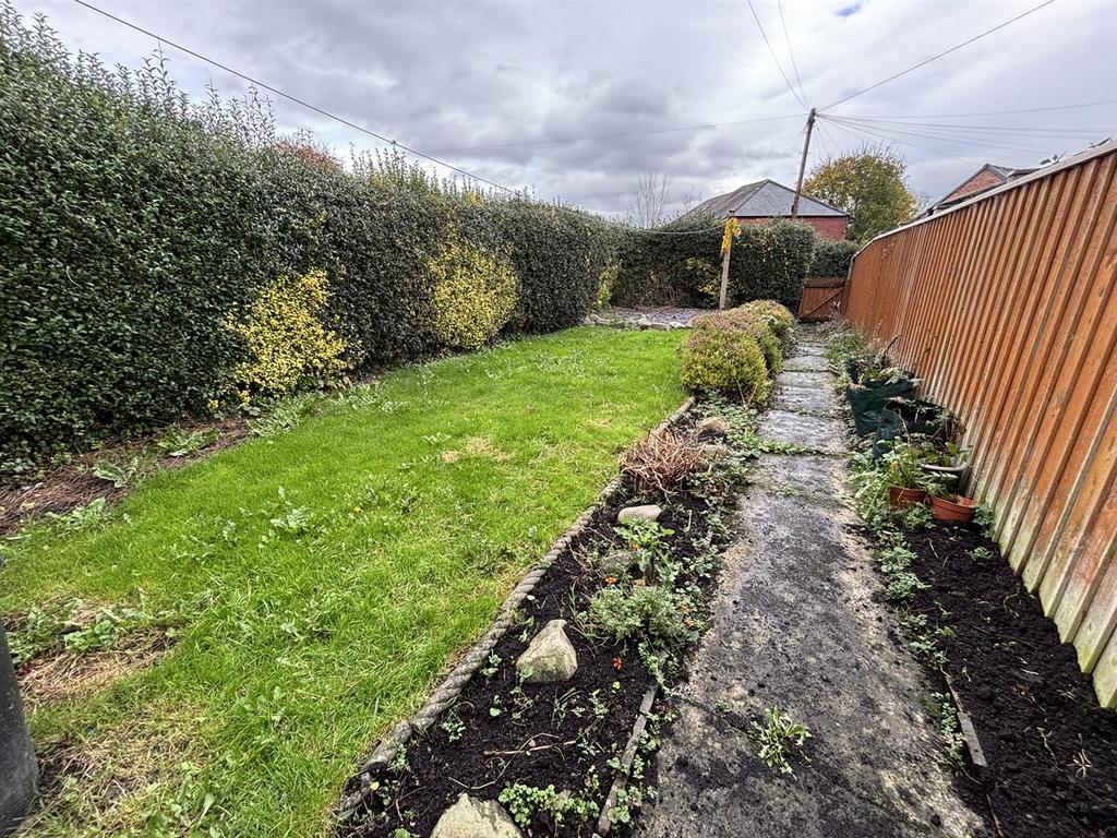 Back Garden