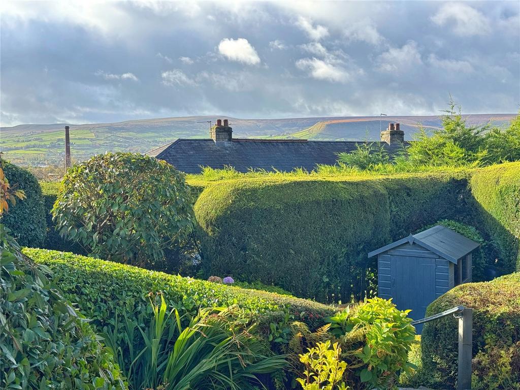 View To The Hills