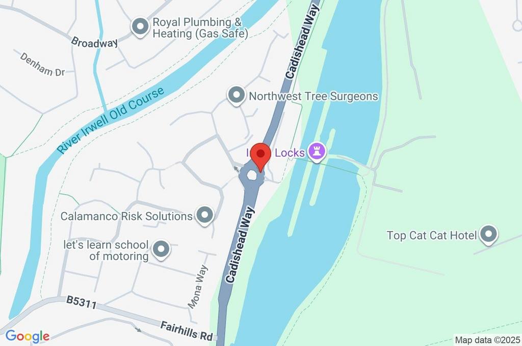 Google Maps Image
