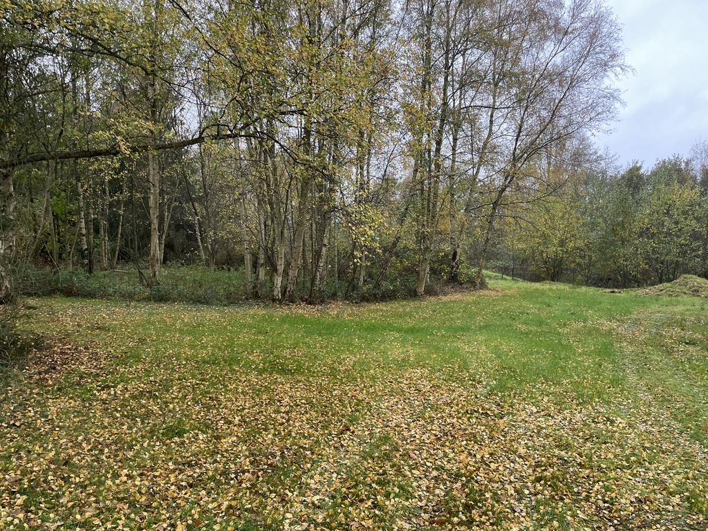 6 T202511121156.jpg