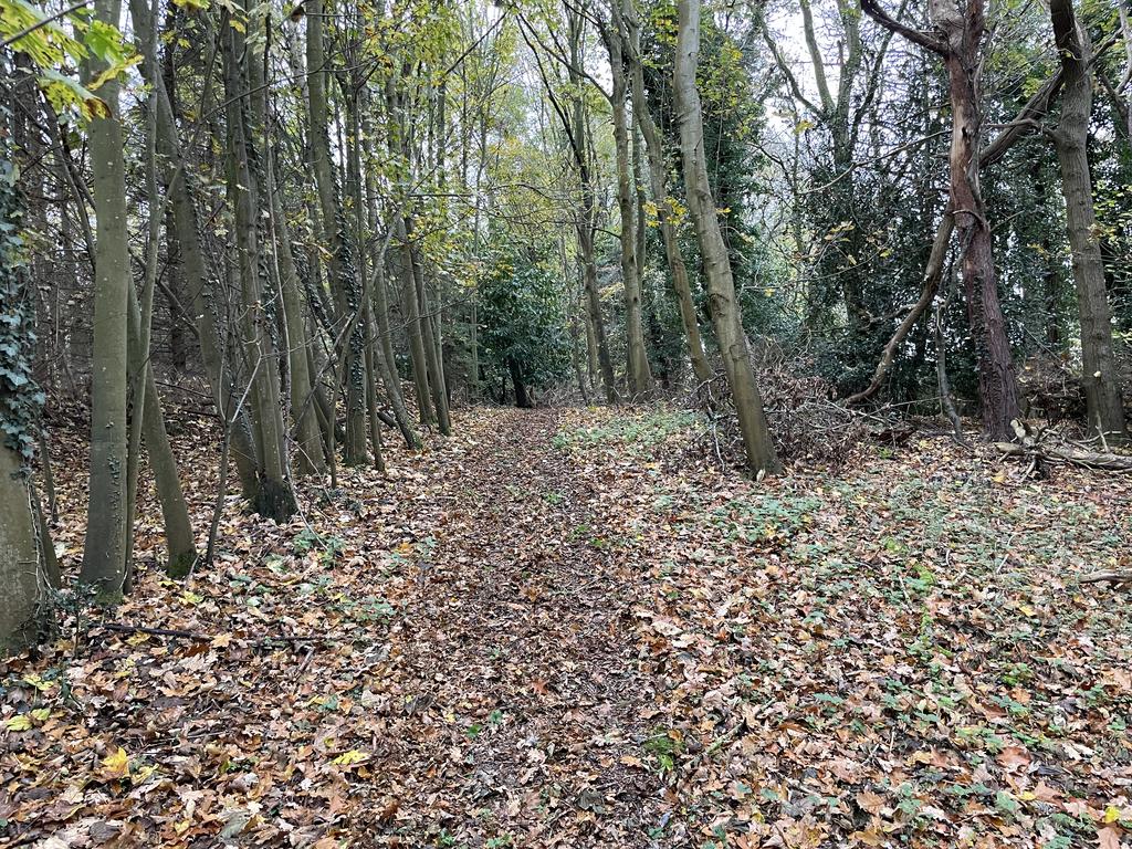 9 T202511121156.jpg