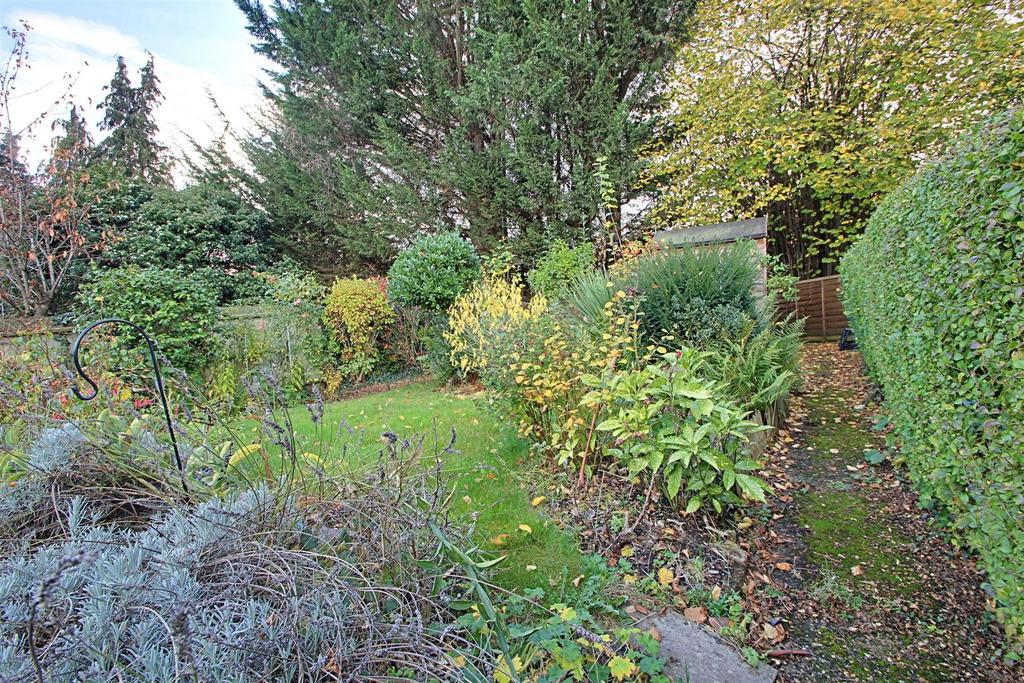 Garden 2.JPG