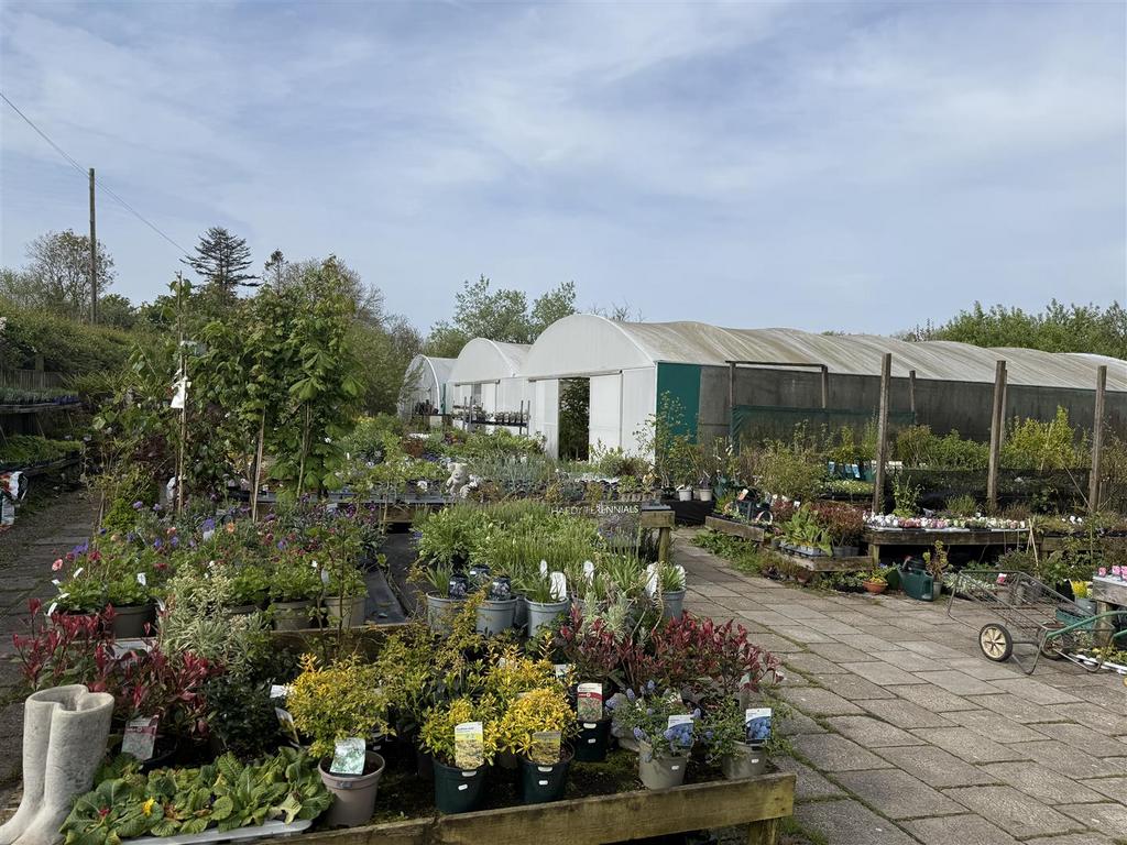The nursery