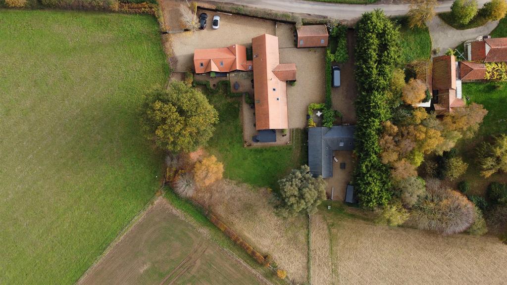Birds Eye