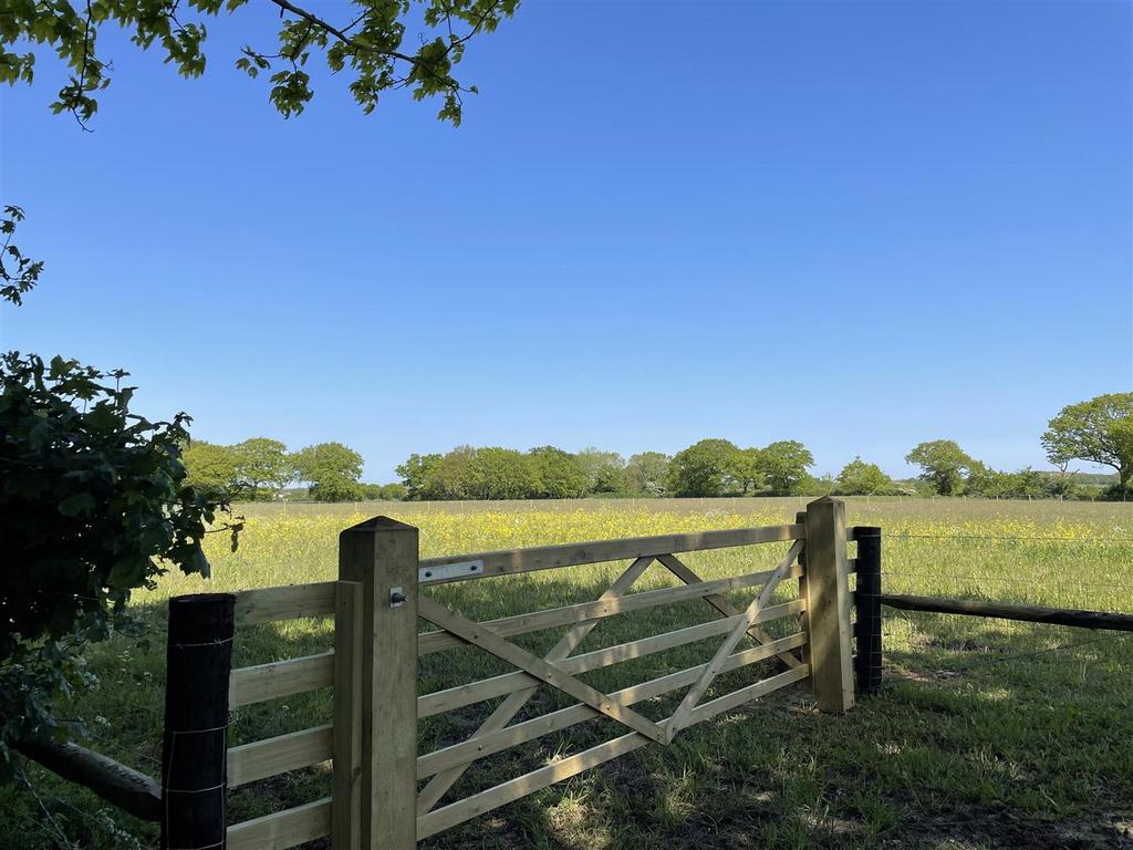 View of Paddock