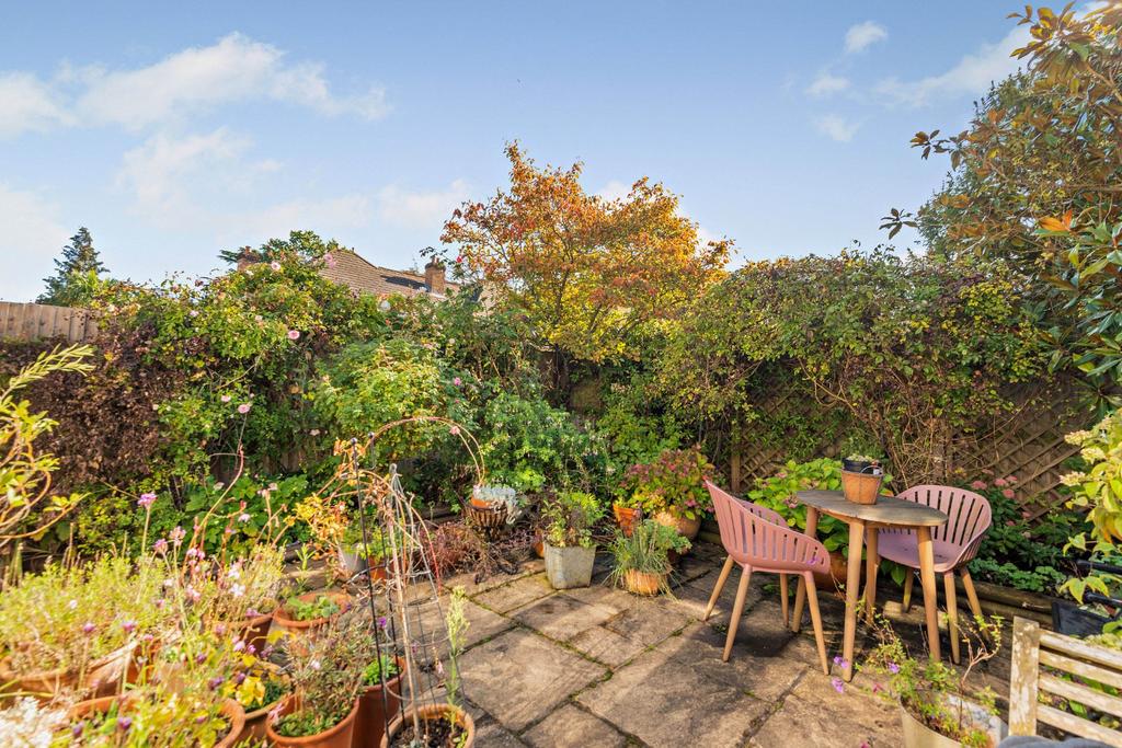 South-Facing Garden